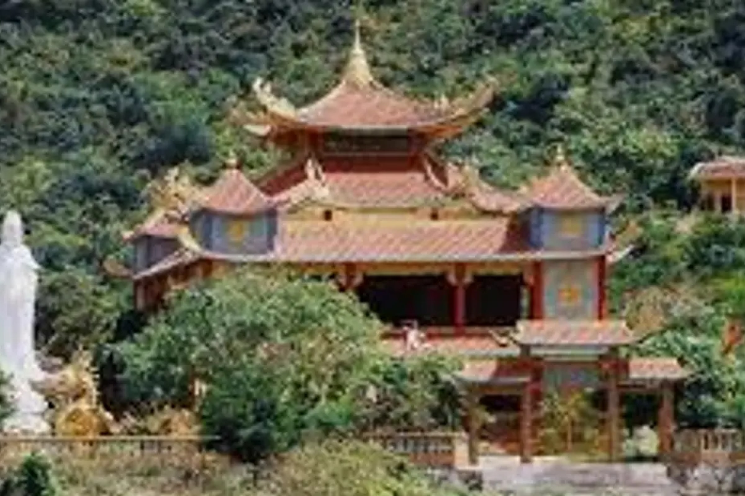 Cham Islands Day Tour from Da Nang